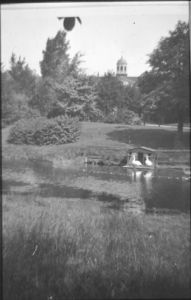 018825.jpg