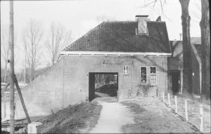 018839.jpg