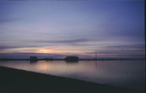 065207.jpg
