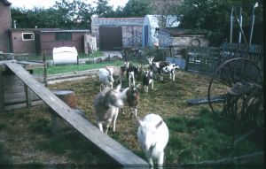 10549.jpg