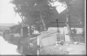 10904.jpg