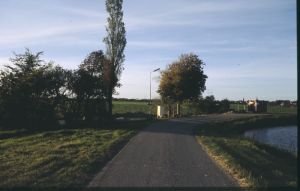 10936.jpg